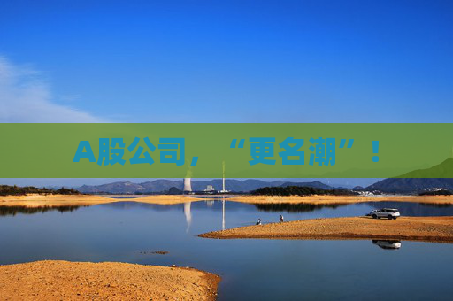 A股公司，“更名潮”！