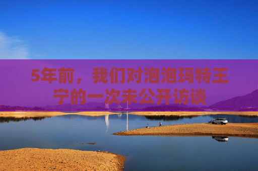 5年前，我们对泡泡玛特王宁的一次未公开访谈