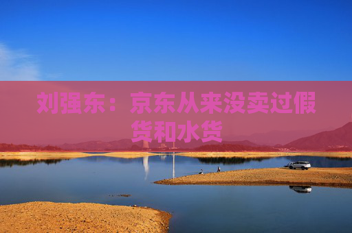 刘强东：京东从来没卖过假货和水货