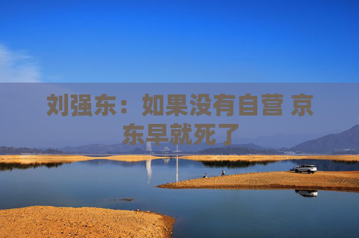刘强东：如果没有自营 京东早就死了