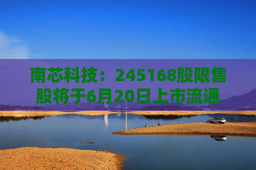 4480午夜理论免费无码 南芯科技：245168股限售股将于6月20日上市流通  第1张