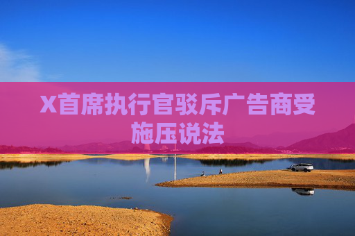 X首席执行官驳斥广告商受施压说法