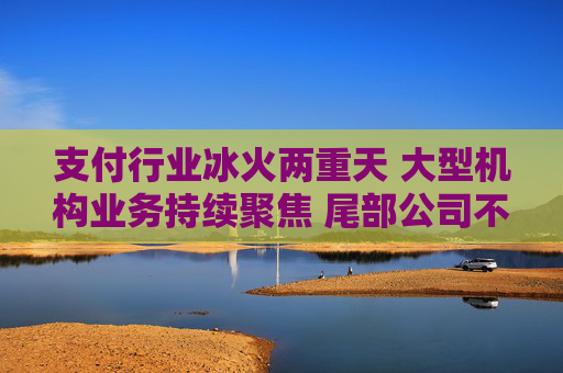 支付行业冰火两重天 大型机构业务持续聚焦 尾部公司不断出局