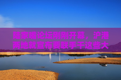 陆家嘴论坛刚刚开幕，沪港两地就宣布要联手干这些大事