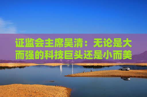证监会主席吴清：无论是大而强的科技巨头还是小而美的科创新秀，都离不开资本市场的支持