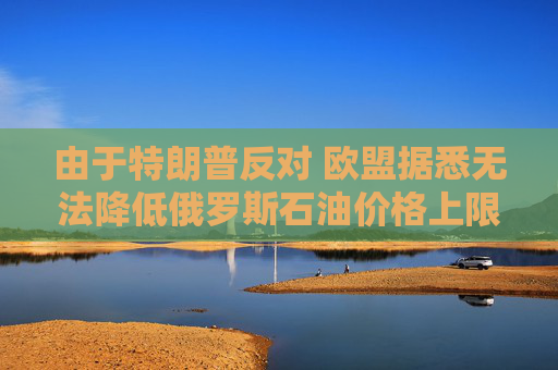 由于特朗普反对 欧盟据悉无法降低俄罗斯石油价格上限