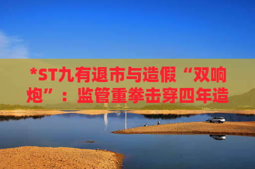 *ST九有退市与造假“双响炮”：监管重拳击穿四年造假迷雾