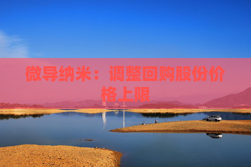 微导纳米：调整回购股份价格上限