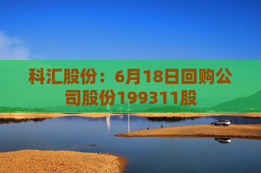 科汇股份：6月18日回购公司股份199311股