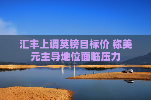 汇丰上调英镑目标价 称美元主导地位面临压力