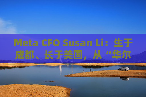 Meta CFO Susan Li：生于成都、长于美国，从“华尔街神童”到“大厂CFO”