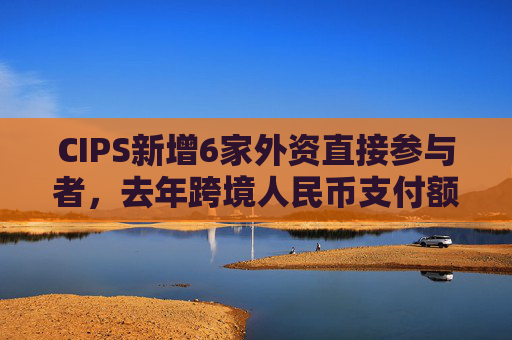 CIPS新增6家外资直接参与者，去年跨境人民币支付额同比增43%