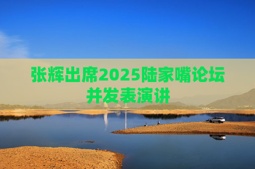 张辉出席2025陆家嘴论坛并发表演讲