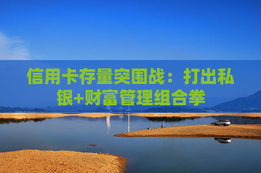 4480午夜理论免费无码 信用卡存量突围战：打出私银+财富管理组合拳  第1张