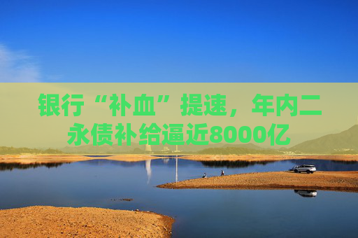 银行“补血”提速，年内二永债补给逼近8000亿