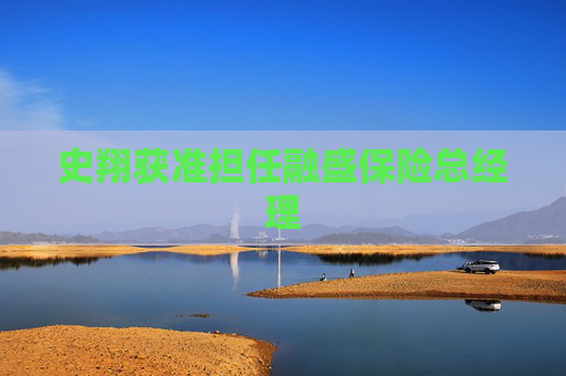 史翔获准担任融盛保险总经理