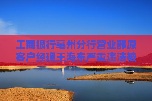 工商银行亳州分行营业部原客户经理王海东严重违法被开除公职