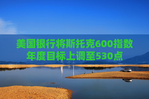 美国银行将斯托克600指数年度目标上调至530点