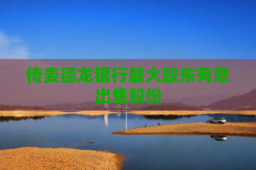 传麦德龙银行最大股东有意出售股份