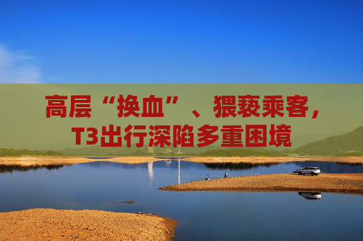 4500网约外围模特女神 高层“换血”、猥亵乘客，T3出行深陷多重困境  第1张