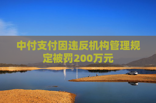 中付支付因违反机构管理规定被罚200万元