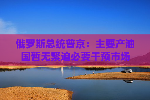 俄罗斯总统普京：主要产油国暂无紧迫必要干预市场