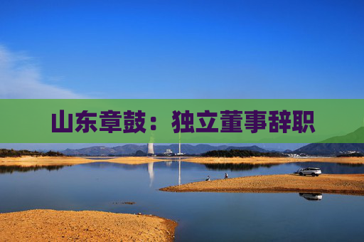 山东章鼓：独立董事辞职