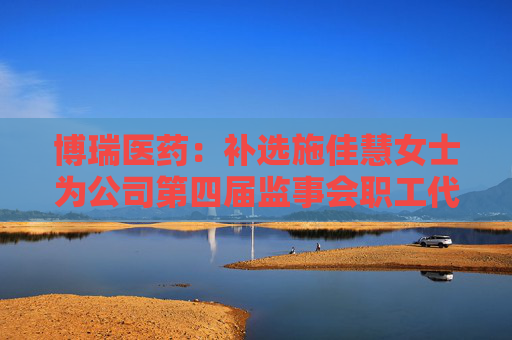 博瑞医药：补选施佳慧女士为公司第四届监事会职工代表监事