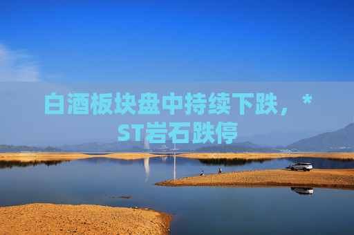白酒板块盘中持续下跌，*ST岩石跌停