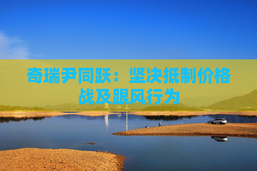 奇瑞尹同跃：坚决抵制价格战及跟风行为