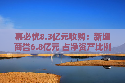 嘉必优8.3亿元收购：新增商誉6.8亿元 占净资产比例高达30%
