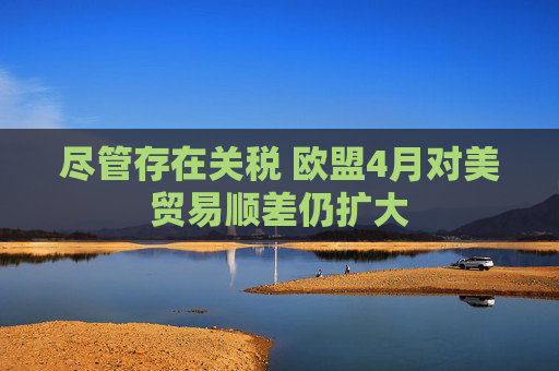 尽管存在关税 欧盟4月对美贸易顺差仍扩大