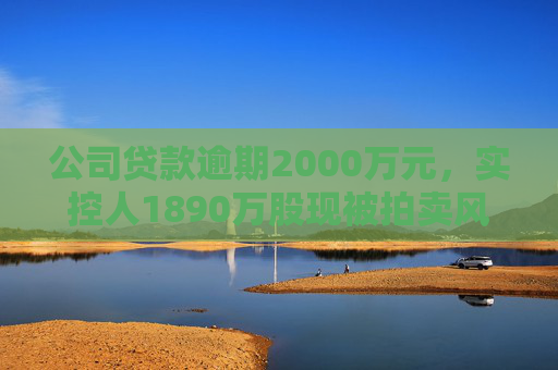 公司贷款逾期2000万元，实控人1890万股现被拍卖风险⋯⋯ST赛为遇多件“烦心事”