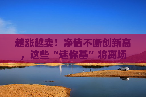 越涨越卖！净值不断创新高，这些“迷你基”将离场