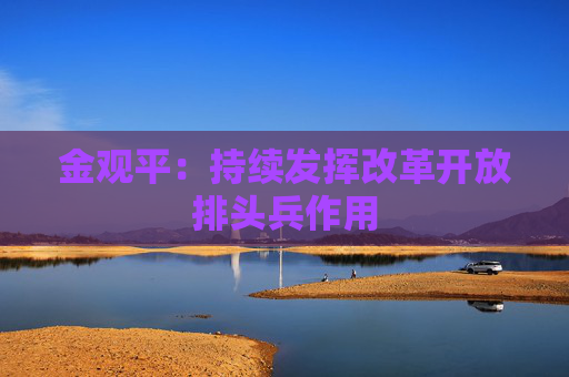 金观平：持续发挥改革开放排头兵作用
