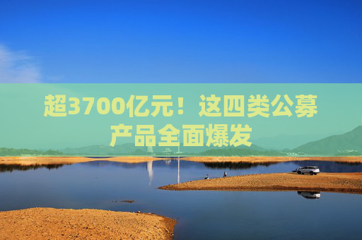 4480yy在线A片无码 超3700亿元！这四类公募产品全面爆发  第1张