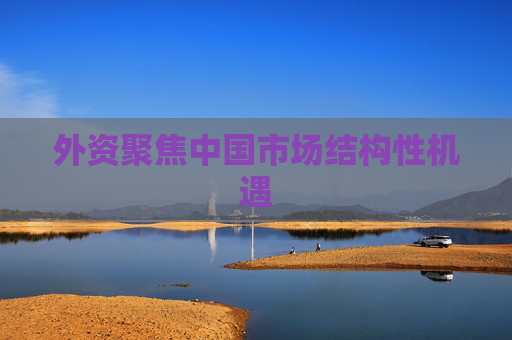 外资聚焦中国市场结构性机遇