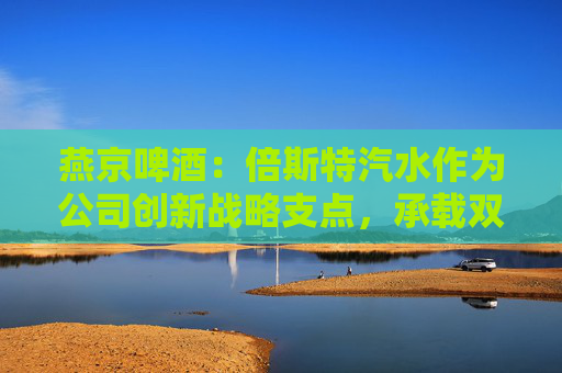 燕京啤酒：倍斯特汽水作为公司创新战略支点，承载双重使命