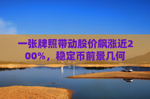 4500网约外围模特女神 一张牌照带动股价飙涨近200%，稳定币前景几何  第1张