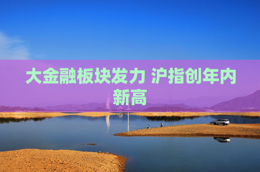 大金融板块发力 沪指创年内新高