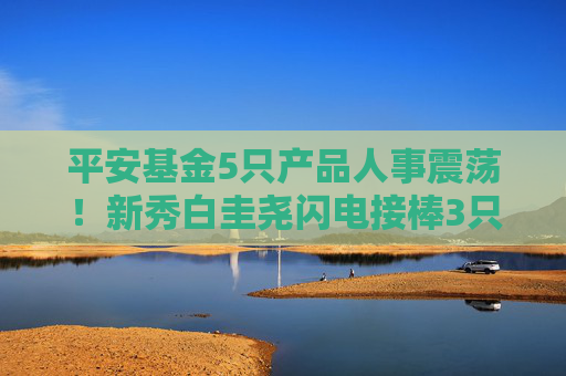 平安基金5只产品人事震荡！新秀白圭尧闪电接棒3只基金，搭档量化老将钱晶，任职回报68%
