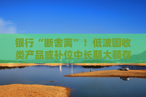 4480yy在线A片无码 银行“断舍离”！低波固收类产品或补位中长期大额存单  第1张