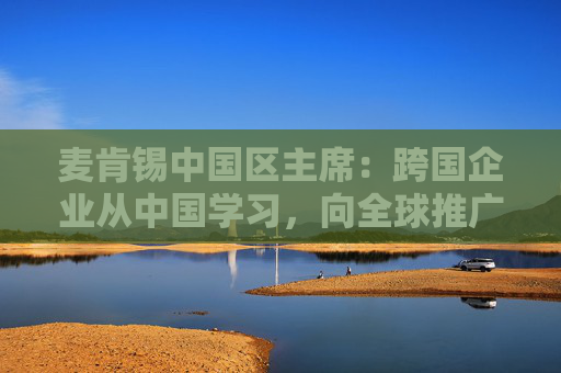 麦肯锡中国区主席：跨国企业从中国学习，向全球推广