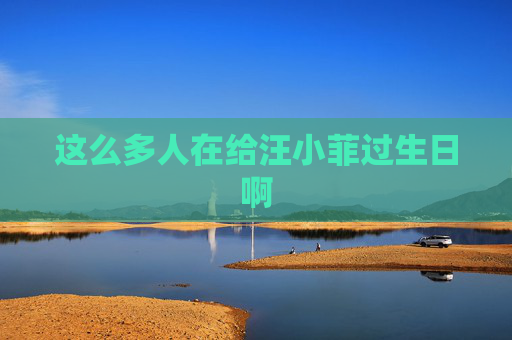 这么多人在给汪小菲过生日啊