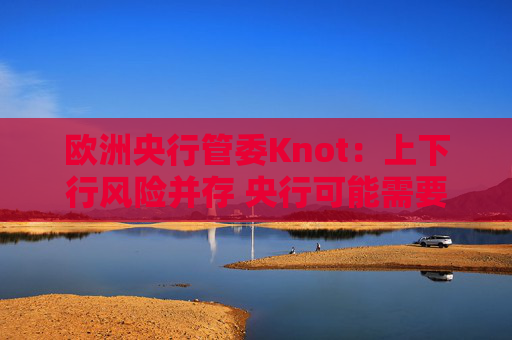 欧洲央行管委Knot：上下行风险并存 央行可能需要按兵不动