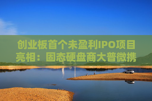 创业板首个未盈利IPO项目亮相：固态硬盘商大普微携“特别表决权”安排获受理  第1张