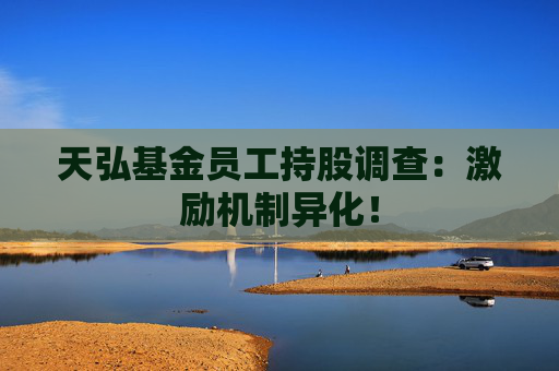 天弘基金员工持股调查：激励机制异化！