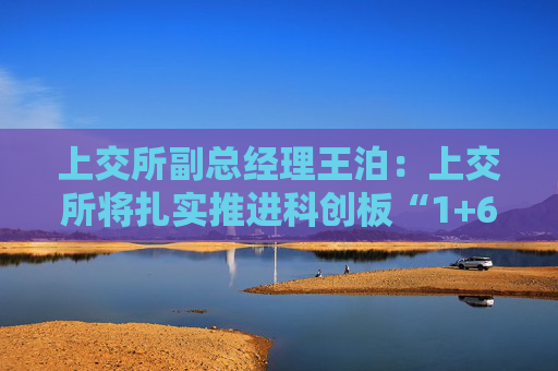 上交所副总经理王泊：上交所将扎实推进科创板“1+6”改革举措和示范案例落实落地