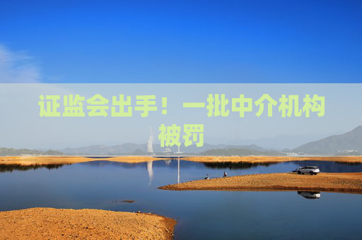证监会出手！一批中介机构被罚