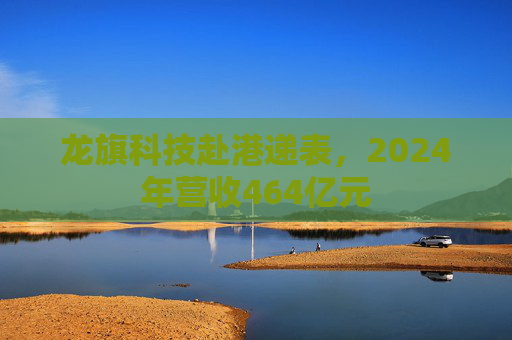 龙旗科技赴港递表，2024年营收464亿元